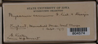 Image Associated With the Occurrence